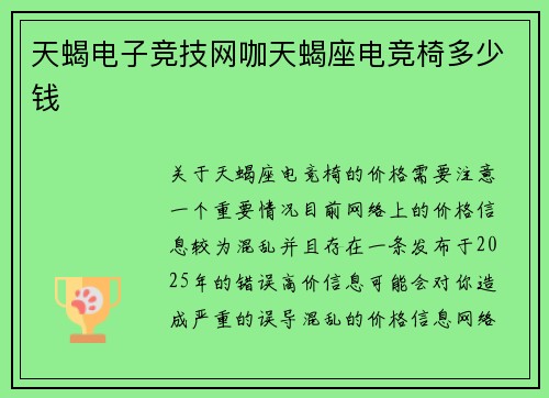 天蝎电子竞技网咖天蝎座电竞椅多少钱